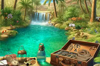Explore the Desert Oasis