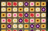 Solve puzzles, collect flowers, and unlock levels!