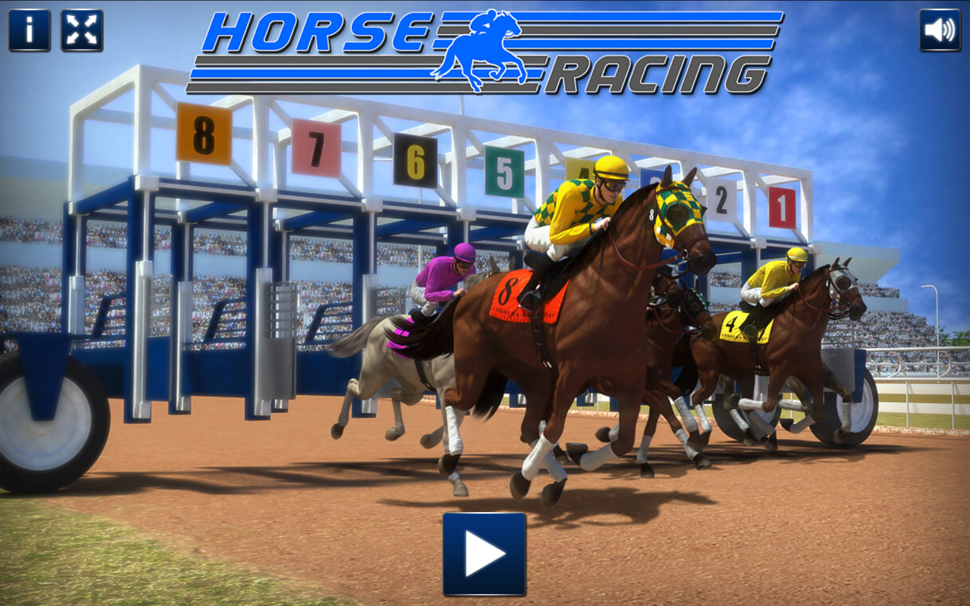 Pony Horse Racing