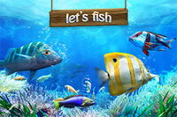 Catch big fish online
