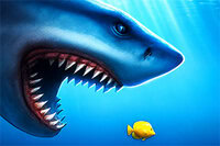 Feed the hungry shark