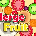 A colorful graphic featuring various fruits like kiwi, orange, and tomatoes with the bold text Merge Fruit prominently displayed at the center against a light background