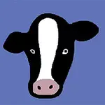 A cartoon-style illustration of a black and white cows head against a blue background