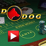 A green felt gaming table featuring various colored poker chips, playing cards, and a prominent logo of a red dog head above the text RED DOG, accompanied by a play button icon