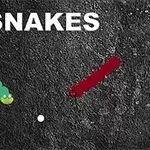 The image displays two cartoonish snake-like figures, one green and one red, with the word SNAKES prominently written above them on a dark background