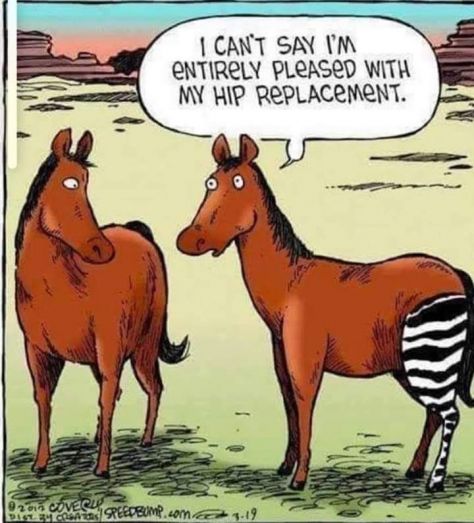 Just after my hip replacement